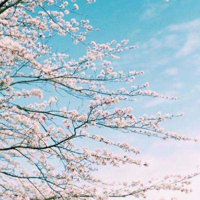 888电玩城游戏厅